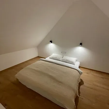 Dream * Level