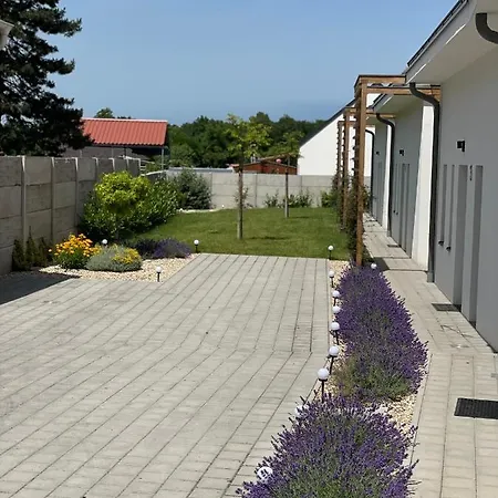 Dream アパート Levél