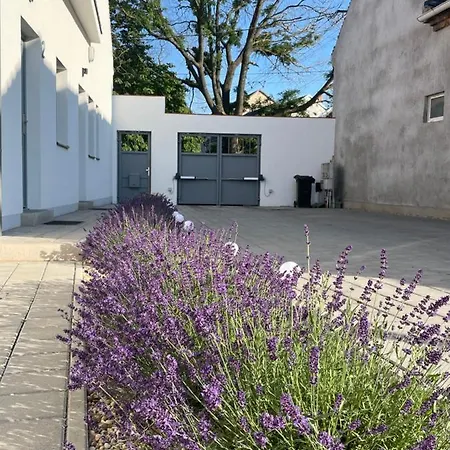 Dream Apartman