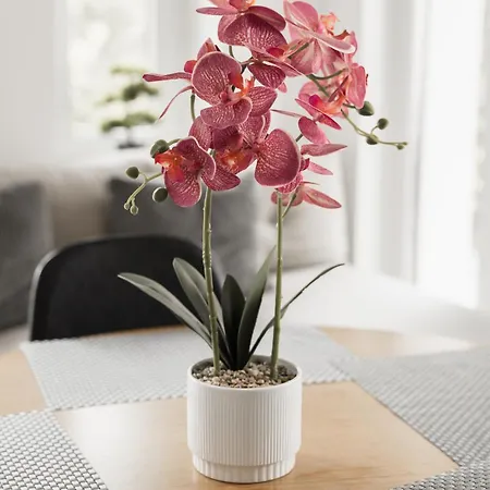 Appartement Dream Levél