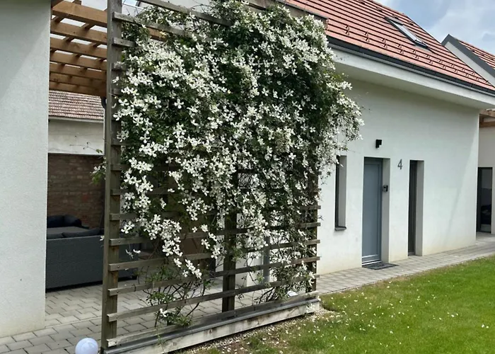 Apartament Dream Levél