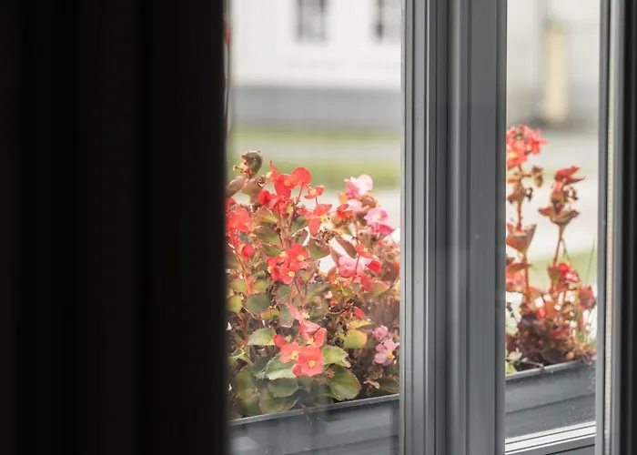 Apartament Dream Levél